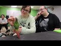 How to Handle Conure Parrots (Training Two Birds at One Time!)