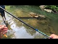 Fishing a Tiny, Hidden Creek for Big Smallmouth Bass - Smallmouth Bass Creek Fishing