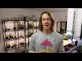 Terrarium Tips - FIVE Mistakes Beginners Make