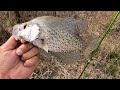 March 2024 Spawning Crappie from the bank!