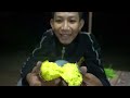 Harvesting vegetable seeds, growing and harvesting vegetables, peaceful life in the countryside