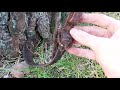 Russian WW2 Pistol discovered in the Forest - WOW! [WW2 Metal Detecting]