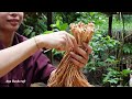 Living Off Grid : 2 days harvest gourds and dried radishes Go to market sell | Ana Bushcraft