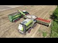 CLAAS LEXION 8700TT am Weizen dreschen / Abfahrer FENDT 942 mit HAWE Überladewagen / Ernte 2024 / 4K