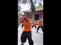 Kung Fu Monk Performing ｜Shaolin Kung Fu