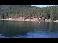 Killer Whales in Agamemnon Channel, Sunshine Coast, BC.  May 3, 2013.