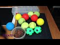 DIY Brain Games for Dogs! Homemade food puzzle toys