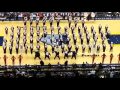 Tennessee state Grizzlies halftime 2014