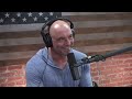 Physicist Sean Carroll Explains Parallel Universes to Joe Rogan