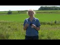 Controlling Rushes And Maximising Your Grassland