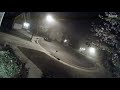 Coyote Screams with Police Sirens