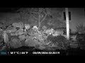 rat camera 23