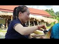 Harvest bamboo shoots goes to the market sell - Taking care of pets | Ly Thi Tam