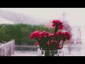 Relax Music with Raining Sounds