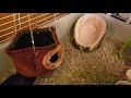 LIVING WORLD CAGE UNBOXING AND SETUP FOR GUINEA PIGS AND SMALL PETS