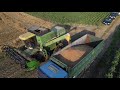 New Holland TX66 - John Deere 1085 - Wheat Harvest 2020