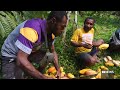 Papua New Guinea’s cocoa opportunity | ABC News