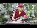 VTV9 Phỏng vấn Đức Drukpa Thuksey Rinpoche nhân chuyến viếng thăm, cầu nguyện Quốc thái dân an 2024