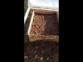 Seed start 2018 outdoor, hoop house and first cold weather crops