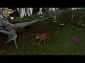 Material Wolf | WolfQuest #6