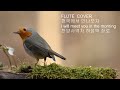 flute 연주/ 천국에서 만나보자(찬송가480장)/I will meet you in the morning/찬양사역자 허성택 장로