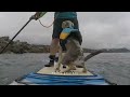 Paddleboarding with a catahoula leapard hound