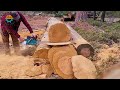 555 BIGGEST Fastest Chainsaw Machines Cutting Tree At Another Level | Best Of The Week