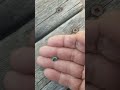 Blue green sapphire oval shape