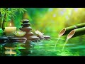 Relaxing Zen Music - Meditation Music, Peaceful Music, Bamboo,Relaxing Music,Nature Sounds, Spa,BGM