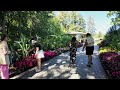 The Butchart Gardens: A Hidden Paradise Walking Tour