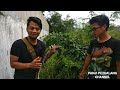 SARANG BIAWAK DI TANAH KOSONG/ADVENTURESUROBOYO