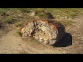 Petrified Forest Vacation Travel Video Guide