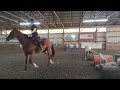 Turndown Da Volume trot