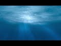 Deep Sea Meditation for Sleep: Underwater Relaxation Sounds #nature #relaxing #musicvideo