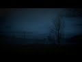 Scary True Stories Told In Relaxing Rain | HD Rain Video | (Ambient Sounds) | (Scary Stories)