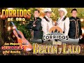 Corridos De Oro - Las Mejores Guitarras Del Rancho - Puros Corridos Mix - Dueto Bertin Y Lalo Exitos