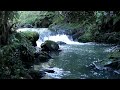 Ambient piano-River flow-Stress Relief Natural sounds//get your Peace of mind