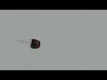 RobloxianX V5.28 Final Plunge Theory - Blender Test 1. 2024 4 Hour Real Time Previs #1