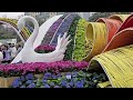 HONG KONG FLOWER SHOW 2024, Flora Joy Around Town, Vibrant Angelonia its featured flower #richscenic