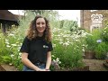 A very quick introduction to peat and wildlife gardening - some things to think about!