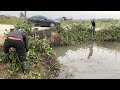 Lawn Mowing Transforms Beaver drain clogged with vegetation and Free Grass cleans fresh water