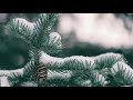 ❄ MUSIQUE CALME : Relaxing Music, Calming Music, Meditation music, Sleep Music, Study Music | winter