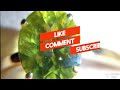 PERIDOT REAL OR FAKE - DO THIS TEST AT HOME | GEMSTONE OF AUGUST - MYSTICAL GEM HUNTER