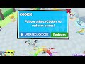 ALL NEW WORKING CODES FOR RACE CLICKER IN 2024! ROBLOX RACE CLICKER CODES