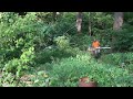 Stihl 660 Magnum Chainsaw Finale (Part 5 of 5)