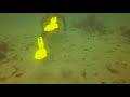 Scuba Diving / Monterey Bay / 13-Mar-21 / Part 1