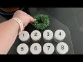 30 BEST Dollar Store Christmas DIY Ideas | Modern + Scandinavian Christmas Decorations