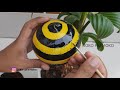 CARA MEMBUAT BONSAI KELAPA ⁉️ How to make a coconut bonsai