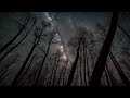Relaxing Piano for Sleep, Night Skies in Forest, Relax Music, 10 hours of Soft Piano, Sleeping Piano