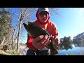 SPOONER WISCONSIN MULTI-SPECIES ACTION!!!!! (Yellow River Flowage)